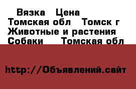 Вязка › Цена ­ 1 500 - Томская обл., Томск г. Животные и растения » Собаки   . Томская обл.